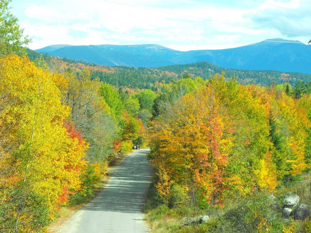 Pamola Motor Lodge Millinocket Екстериор снимка